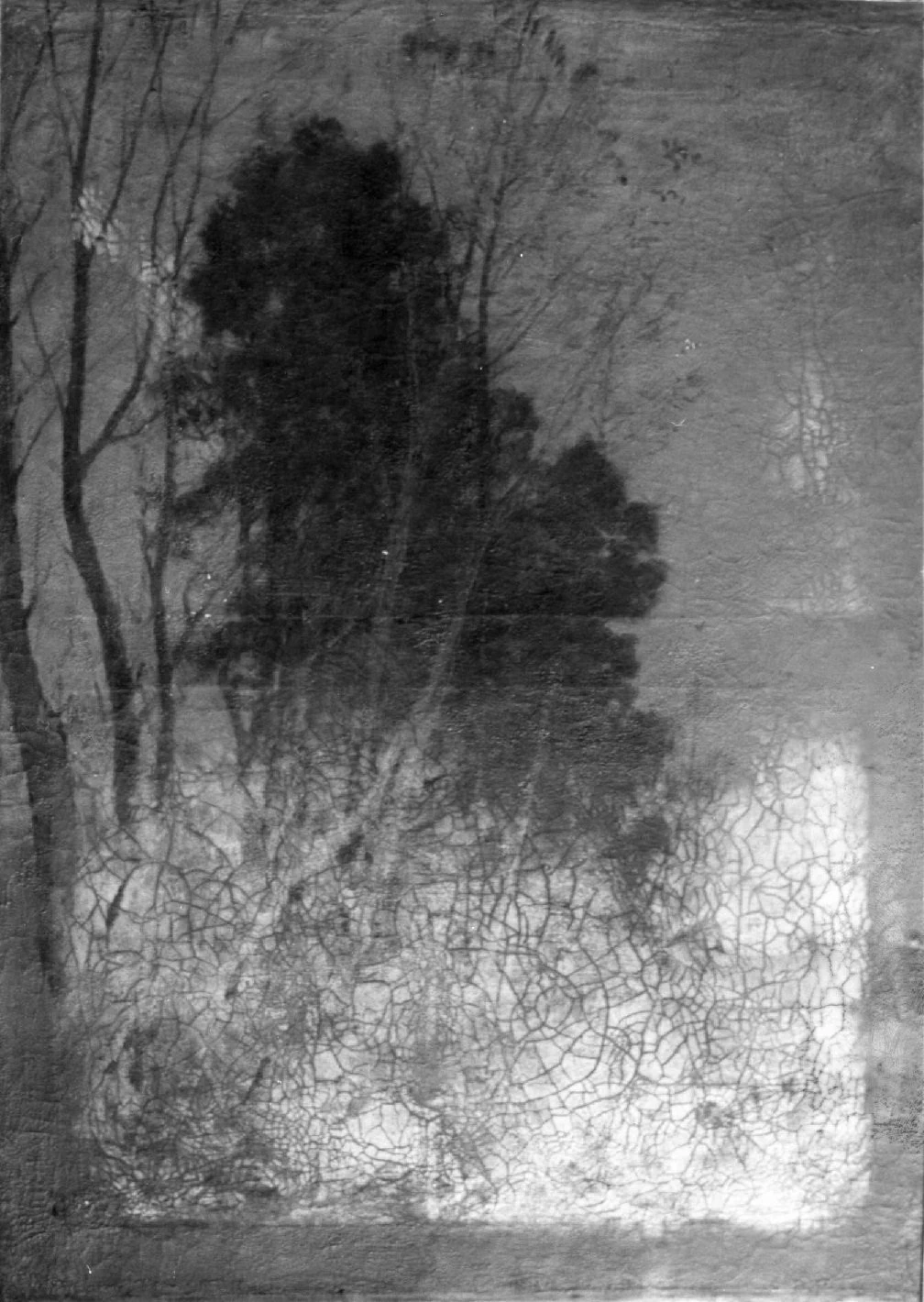 Paesaggio con alberi - Galleria d'arte moderna, Palazzo Forti